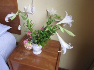 Lilien und Nelken am Hotelzimmer