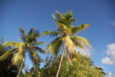 Guadeloupe in Bildern