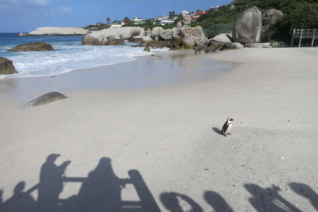 Impressionen von Cape Point | Südafrika