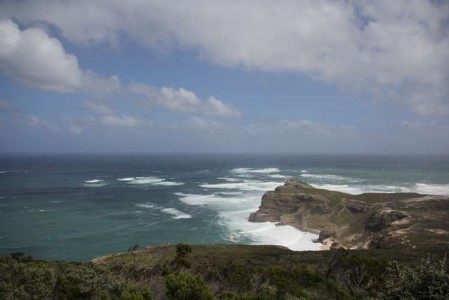 Cape Point - RosaPfeffer (3)