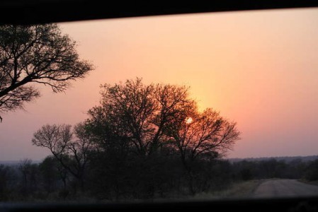 Kruger Nationalpark_RosaPfeffer (2)