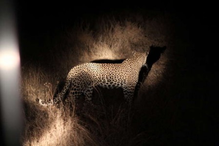 Kruger Nationalpark_RosaPfeffer (21)